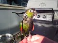 Charlie took a bath outside