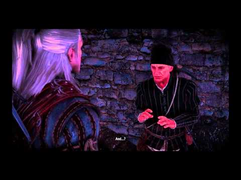 The Witcher 2 : Assassins of Kings