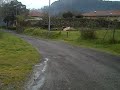 Arratzu, Urdaibai: Aliseda y Robledales.