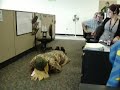 the bacon dance