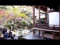 京都　永観堂の紅葉2009 No2.mpg