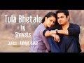 तुला भेटलो