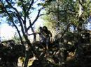 Vinuesa 2004 (endugu taldie)