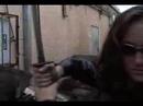 assassin\ assassin\