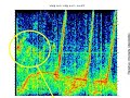 Saturn Alien Speech Part 2 - Spectrograph Analysis