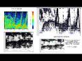 Saturn Alien Speech Part 2 - Spectrograph Analysis