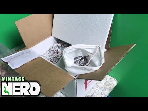YouTube reptile video