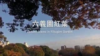 東京六義園紅葉