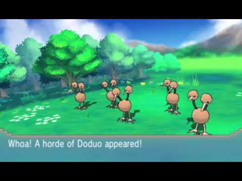 how to train pokemon fast in oras