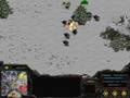Starcraft Broodwar 6 Hydralisks get killed by a single mine