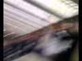 videos de Newcastle Vs. Tottenham - Oh When The Spurs