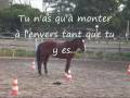 �thologie, �quitation �thologique, cheval libert�,  bruno marchal, montpellier, m�thode naturelle, chevaux
