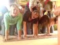 Pyramid (FAIL)