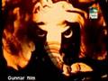 Animal Planet Sand Art