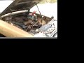Citroen GS�s engine turnin�again.