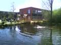 Klausur bestanden - schwimmen gegangen