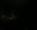 cult-of-luna.html