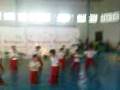 videos de kungfu fighters