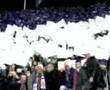 fiorentina-milan