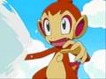 Chimchar leave out all the rest