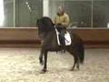 Dressage andalusian PRE stud - WWW.HORSESPRE.COM - Yda. VIKINGA PRE -