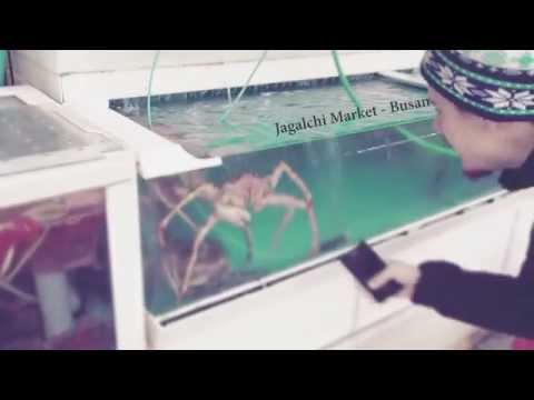 how to trip without taking anything