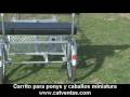 Carrito para ponys y caballos minitaura (www.catventas.com) Carrito para ponys y caballos minitaura (www.catventas.com)
