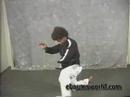 van damme????? ma ki kazzo e\