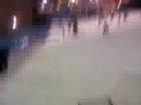 Tamworth box fall