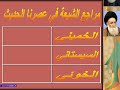 مراجع الشيعة و وسائل زنا المحارم 1.flv