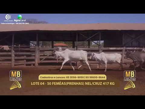 507� LEIL�O VIRTUAL MB LEIL�ES