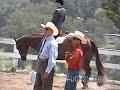 Determined Tobe Good: All Around AQHA Gelding