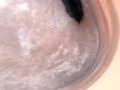 oso mañoso!!¬¬
