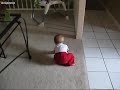 Chasing the cat