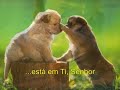 nenhum além de jesus  none but jesus    hillsong