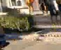 PoketBike Racing, Studentie nebunie