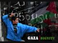 Freedom song ( Egypt-Tunisia-Algeria-Palestine)
