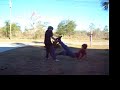 crazy frount yard fight crazy frount yard fight