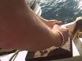 Crab Cleaning 101