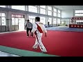 ??????? Ma Style Tongbei Fanzi quan - Zhanzhuang Fan ???