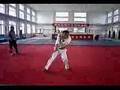 馬氏通備翻子拳 Ma Style Tongbei Fanzi quan - Zhanzhuang Fan 站桩翻