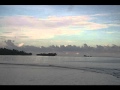 Seanri (Dezine) Sei mania Solomon Islands