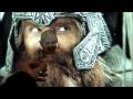 videos de Proletariat Education Movie-Film
