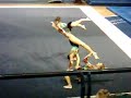 Exhibici�n fig - rusas en la plata 1