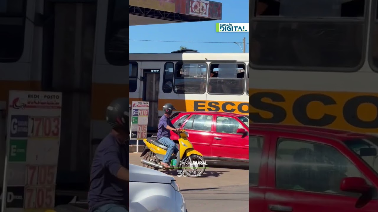 Homem encontra transporte inusitado de cavalos em ônibus escolar