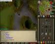 flying-bull-get-99-c