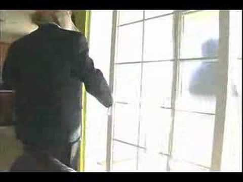 Gorilla & Horse Animals - "Apartment ...