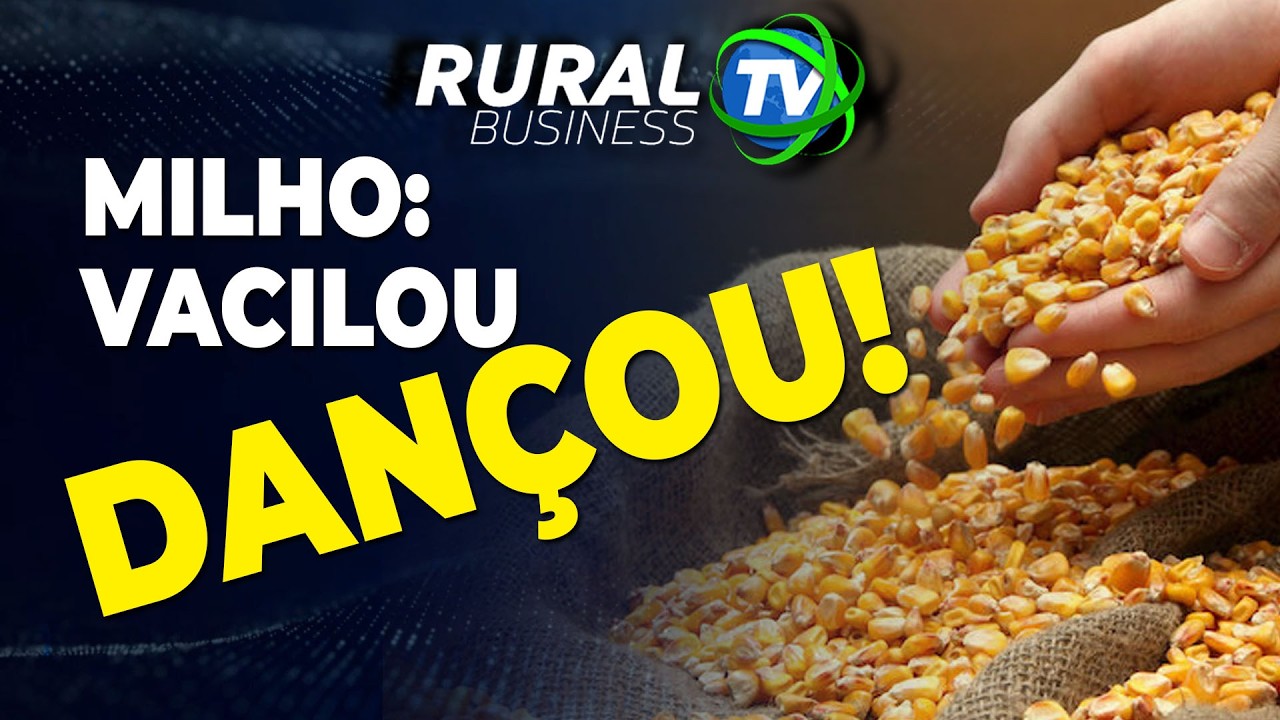 MILHO: VACILOU, DANÇOU!