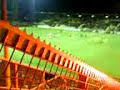 sfeer Lierse-Anwerp sfeer Lierse-Anwerp