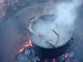 Deer Skull Soup